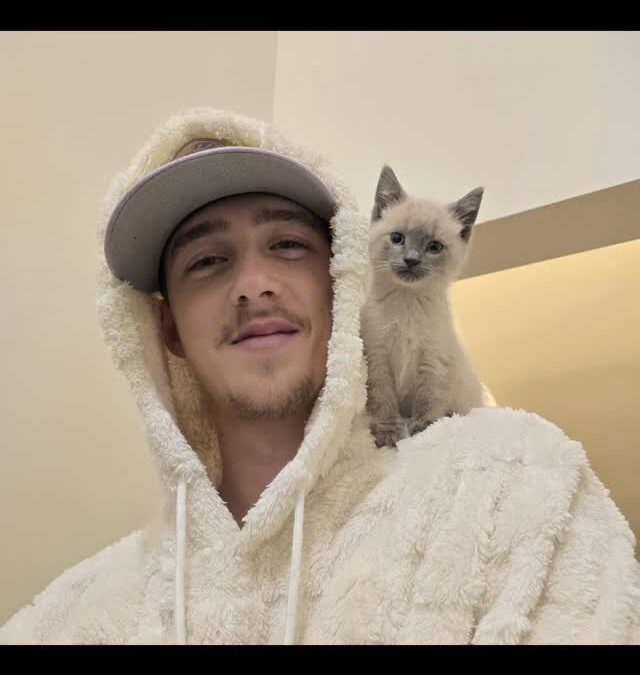 🐱 Perkins got a kitten!